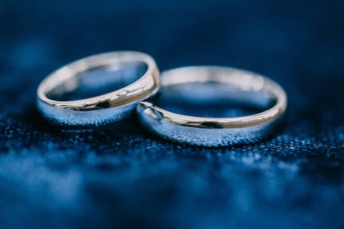 wedding rings in focus isolated on blue background.  wedding concept. white golden rings. jewellery concept  clipart