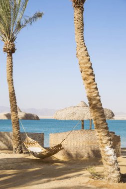 Hamak haning avuç içi ile tropik sahilde