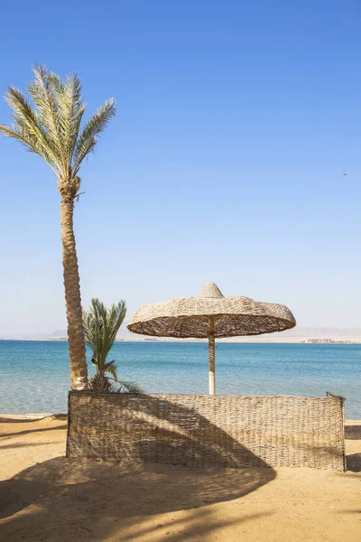 Tropik sahilde saman şemsiye