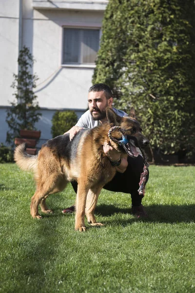 Mann Und Hund Spielen Draußen Freundschaftswettstreit — Stockfoto