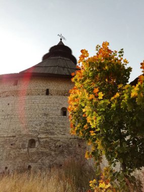 Pokrovskaya Kulesi (Pskov, Rusya)