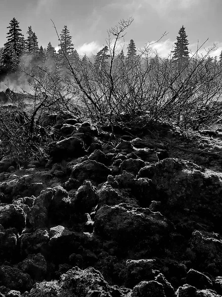 Morning steam rises from a field of old hardened lava rock in the forests of Western Oregon on a cold winter morning.