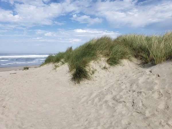 Dune di sabbia costiere — Foto Stock