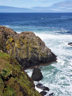 Yaquina Head'de engebeli kayalıklar