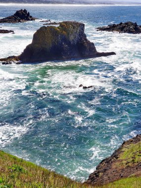 Yaquina Head'de engebeli kayalıklar