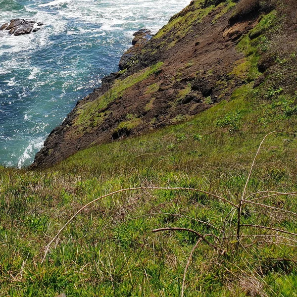 Rugidos acantilados en Yaquina Head —  Fotos de Stock