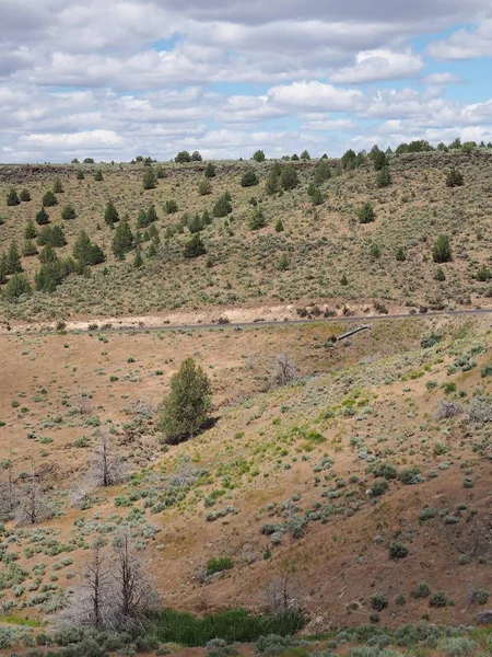 Pequeño Camino Rural Desciende Colina Abajo Las Tierras Cultivo Centro —  Fotos de Stock