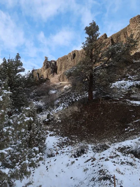 中央オレゴン州の美しい晴れた冬の日に地面に雪のほんの少しで突き出る玄武岩の崖 — ストック写真