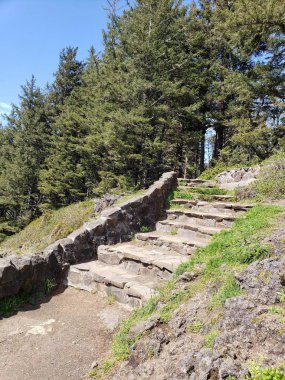 Güneşli bir bahar gününde ormanlık Central Oregon kıyısında güzel bir gelişmiş ve bakımlı yürüyüş yolu. 