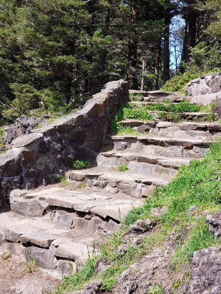 Güneşli bir bahar gününde ormanlık Central Oregon kıyısında güzel bir gelişmiş ve bakımlı yürüyüş yolu. 