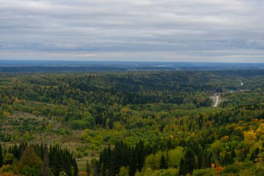 Bialowieza Ormanı 'nın güzel panoramik hava aracı görüntüsü.