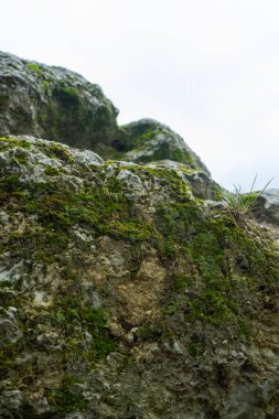 Taş dokusu arka plan makrosu