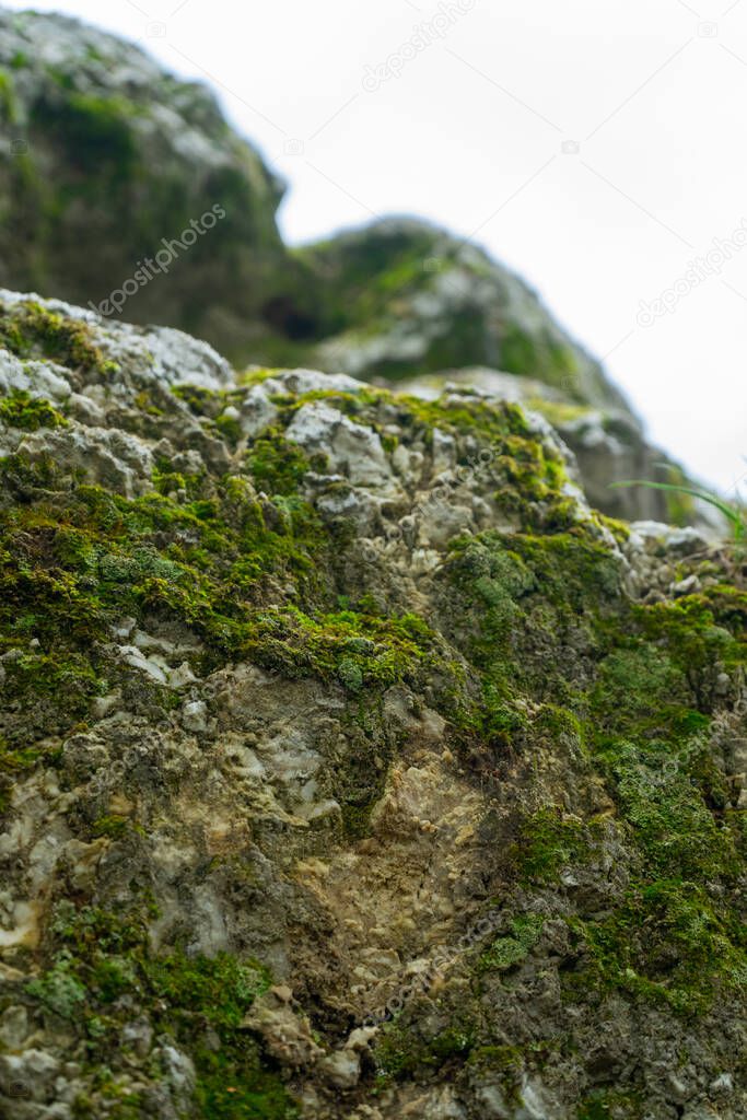 green moss wraps around mountain rocks. it is soft and has spread to the entire territory