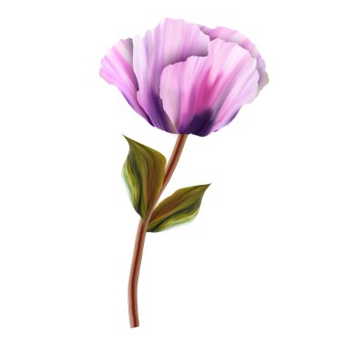 Çiçekler romantizm doludur, yapraklar ve çiçekler sanat tasarımı.