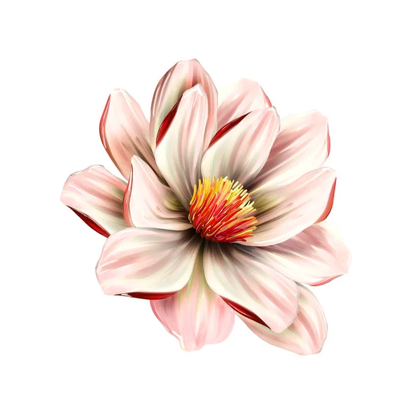 Florile Sunt Pline Romantism Frunzele Florile Design Artă — Fotografie, imagine de stoc