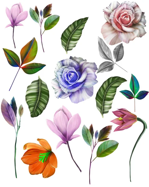 Löv Hand Teckning Konst Design Digital Målning Löv — Stockfoto