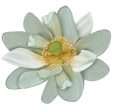 Çiçeksel illüstrasyon - parlak pembe renkli çiçekli buket, yeşil yapraklı, düğün durağanı, selamlar, duvar kağıtları, moda, arka plan, dokular, DIY, ambalajlar, kartlar.