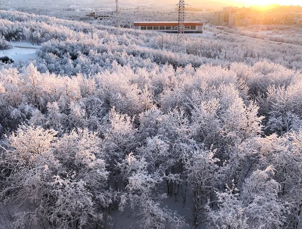 Kış görünümü Vadisi konforu. Murmansk, Murmansk bölgesi