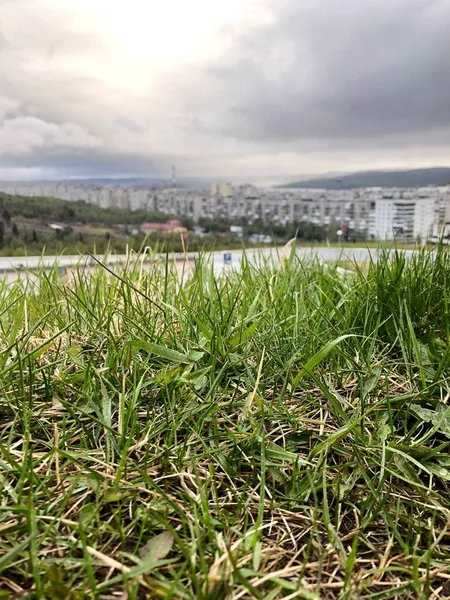Şehrin ve tepelerin arka planında yağmurdan sonra çimen.