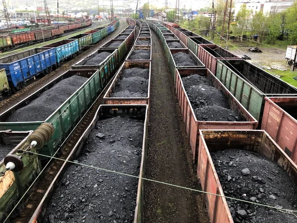 Murmansk şehrinin tren istasyonunda kömür ile Vagonlar.