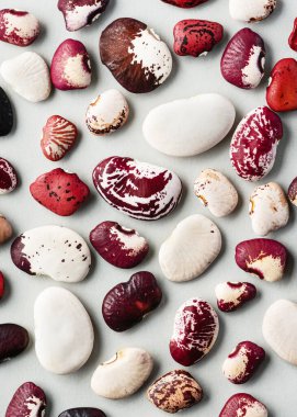Beyaz ile koyu kırmızı arasında çeşitli renk ve işaretlere sahip kuru lima fasulyesi koleksiyonu (Fhaseolus lunatus). Şekilleri ve benekleri, bu aile yadigarı baklagil içindeki çeşitliliği vurguluyor. Üst görünüm