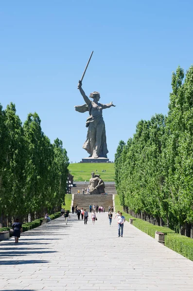 Volgograd Rússia Junho 2018 Alley Pyromidal Poplars Monuments Stand Death — Fotografia de Stock