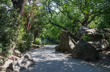 Ukrayna, Kırım Cumhuriyeti, Alupka şehri. 06 / 09 / 2018: Vorontsov parkında yürüyüş yolu