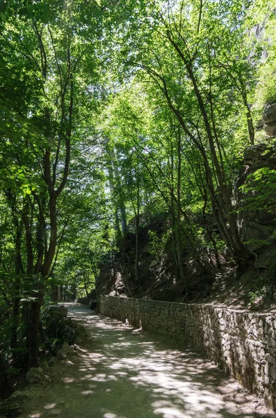 Footpath on a wooded mountainside. Republic of Crimea. 06/13/2018: The trail to the Uchan-Su waterfall. Mount Ai-Petri