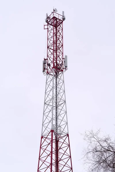 Сотовая Вышка Телекоммуникационная Башня Зимнем Парке Фоне Неба Голых Ветвей — стоковое фото