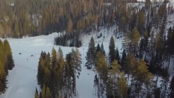 Estación de esquí en la vista aérea del bosque — Vídeo de stock