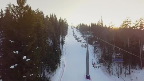 Domaine skiable en forêt vue aérienne — Video