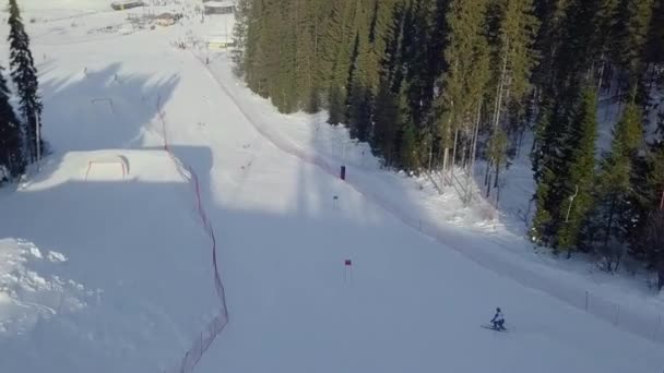 Lyžařské středisko v lese letecký pohled — Stock video