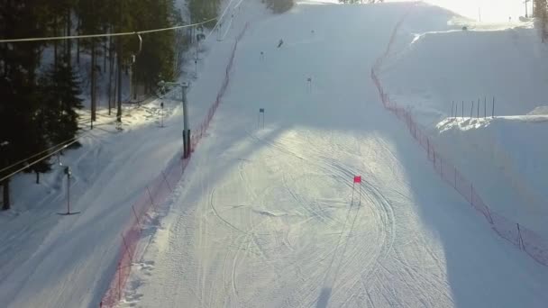 Ski-oord in de bos-luchtfoto — Stockvideo