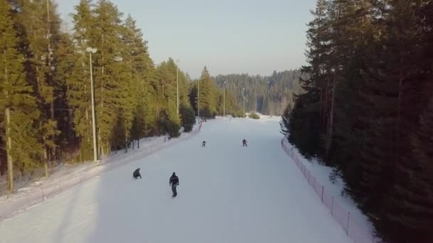 森林空中写真でのスキー リゾート — ストック動画