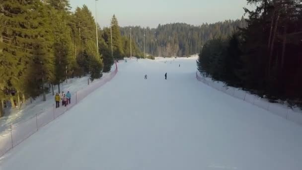 Estación de esquí en la vista aérea del bosque — Vídeos de Stock