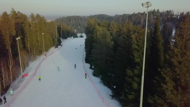 Domaine skiable en forêt vue aérienne — Video