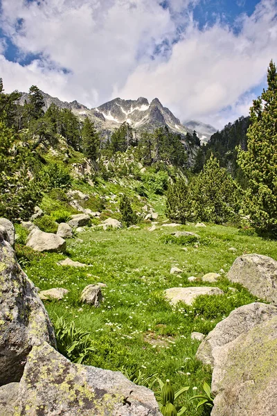 Krajina Pohoří Pyreneje Catalunya — Stock fotografie