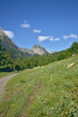 Aiguestortes Parkı'ndaki dağ manzarası