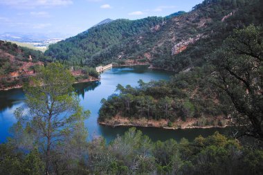 Bataklık, Benitandus köyü yakınlarında, Castellon