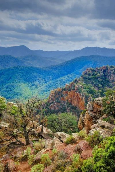 Rocky landscape of Mediterranean forest — Stock Photo, Image