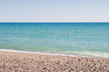 Deniz üzerinde mavi gökyüzünde uçan albatros kuşu