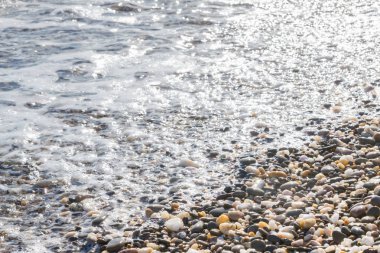 Deniz kıyısı yaz aylarında deniz taşları