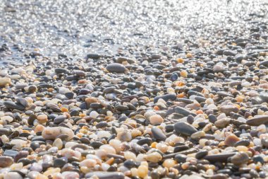 Deniz kıyısı yaz aylarında deniz taşları