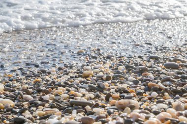 Deniz kıyısı yaz aylarında deniz taşları