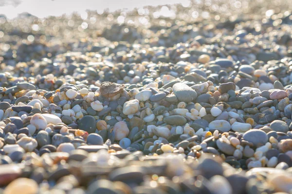 Πέτρες Της Θάλασσας Στην Παραλία Καλοκαίρι — Φωτογραφία Αρχείου