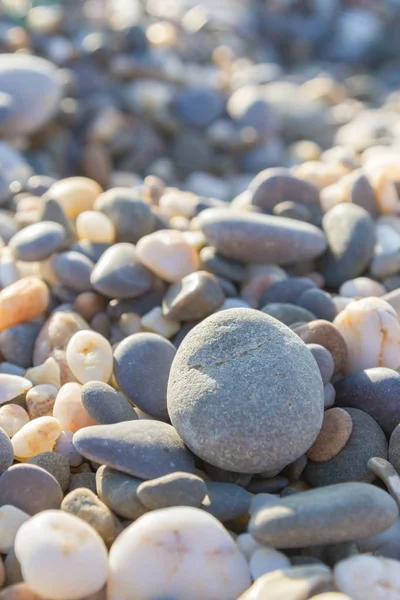 Zee Stenen Aan Kust Zomer — Stockfoto