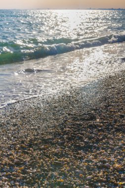 Günbatımı güneşli yaz gündüz sahilde