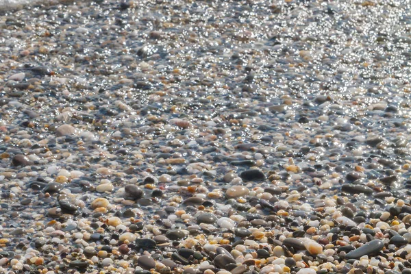 Морские Камни Берегу Моря Летом — стоковое фото