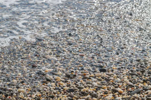 Sea Stones Seashore Summer — Stock Photo, Image