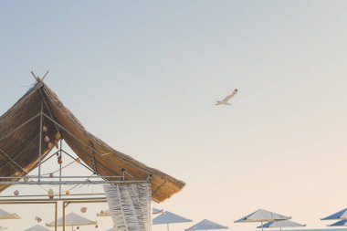 Sahilde deniz kabukları ile dekore edilmiş ahşap sahil evi